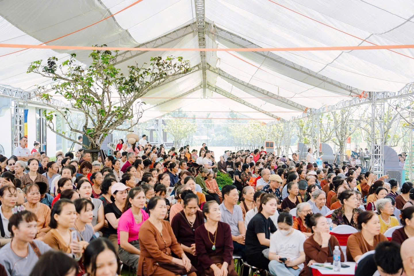 z6956467246434_7e8dcbfe43d20374238a331bb1fe2745