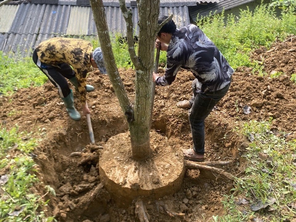 z5497358890088_d632e8d5bdbf56dcf90a1d9a12d6450b