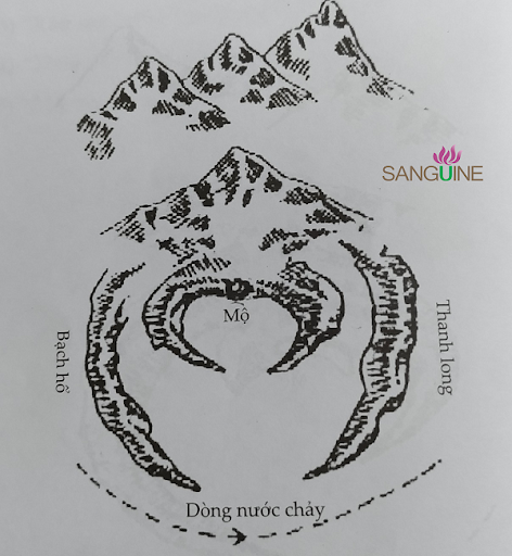 unnamed (9)_1